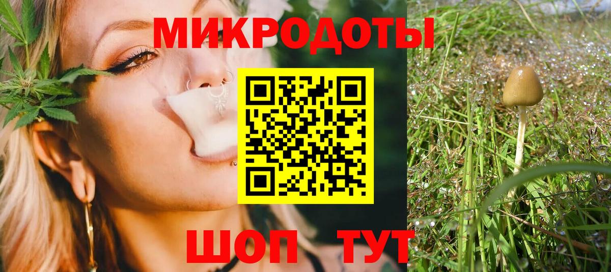 Галлюциногенные грибы Psilocybe Верхний Уфалей